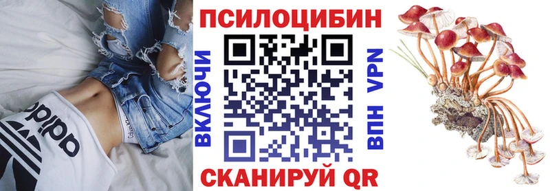 Галлюциногенные грибы Magic Shrooms  Купить где  Велиж 